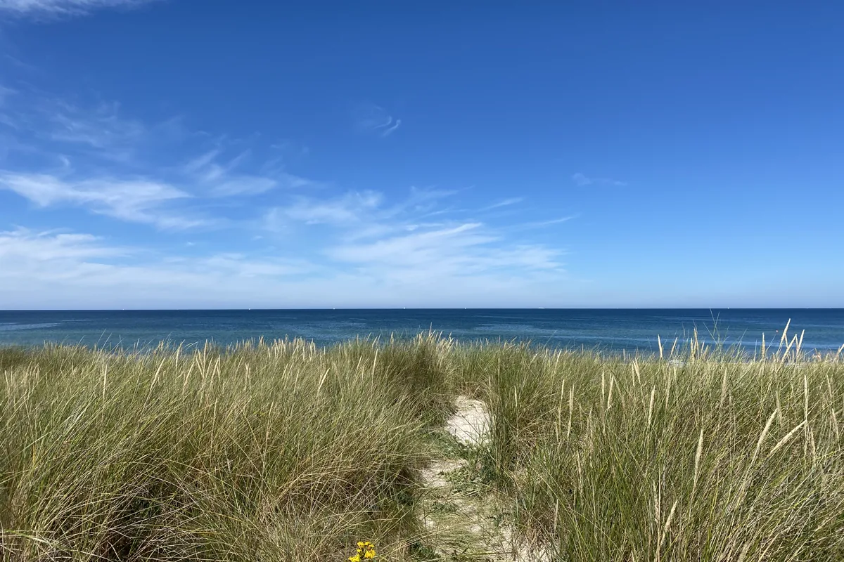 Dünenweg zum Strand von Dierhagen