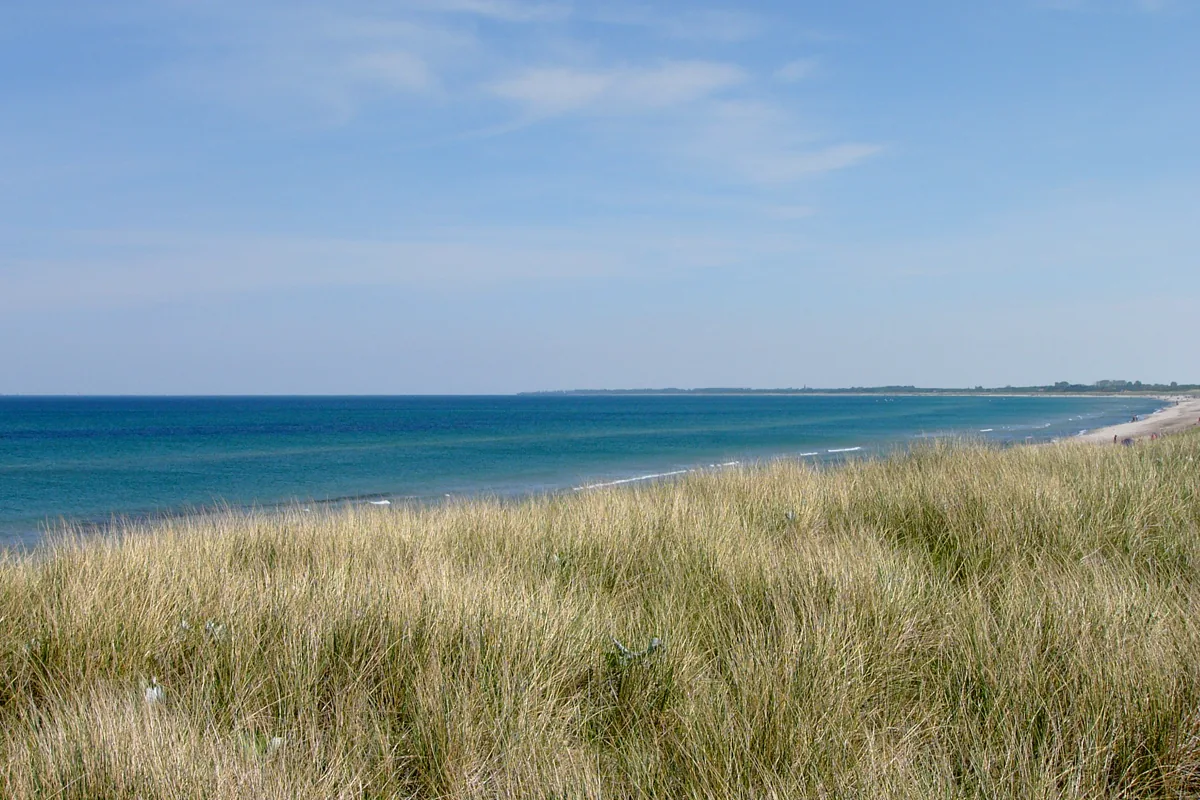 Dünen und Ostseestrand von Dierhagen